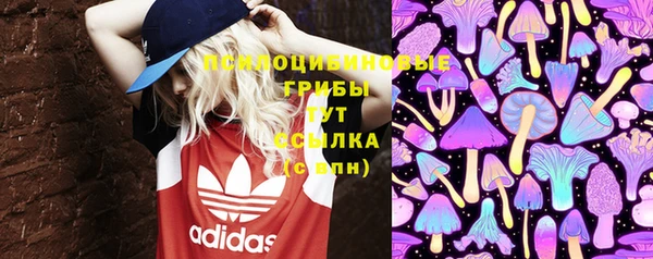 ECSTASY Белая Калитва