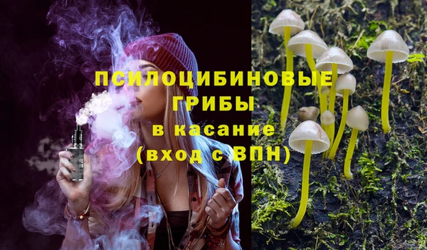 apvp Белая Холуница