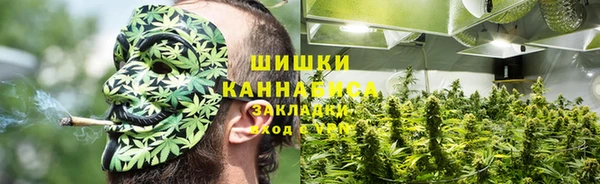 apvp Белая Холуница