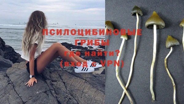 apvp Белая Холуница