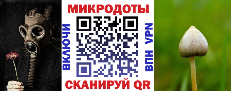 цена наркотик Красноармейск omg ссылка Псилоцибиновые грибы Psilocybe