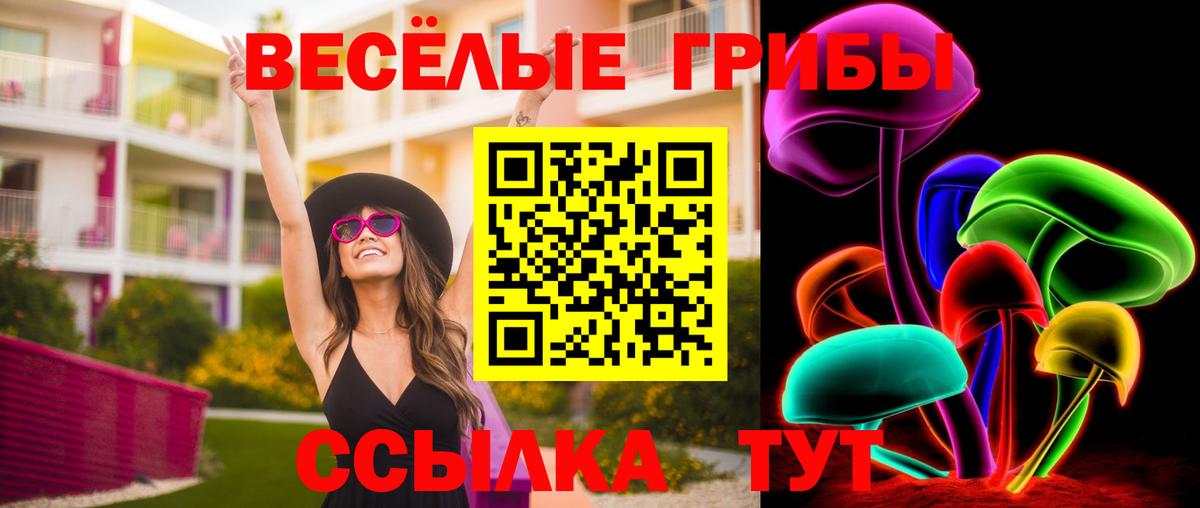 Красноармейск  Псилоцибиновые грибы GOLDEN TEACHER  Вход с VPN  Псилоцибиновые грибы Cubensis 