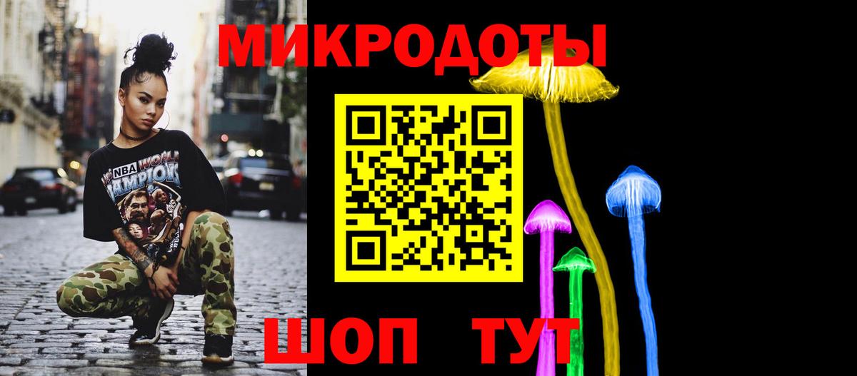 Галлюциногенные грибы Psilocybine cubensis Красноармейск