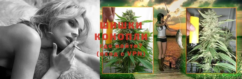 магазин продажи наркотиков  Красноармейск  Бошки Шишки Ganja 